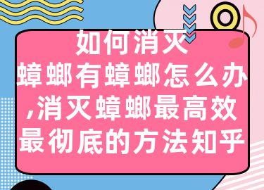 如何消灭蟑螂有蟑螂怎么办,消灭蟑螂最高效最彻底的方法知乎