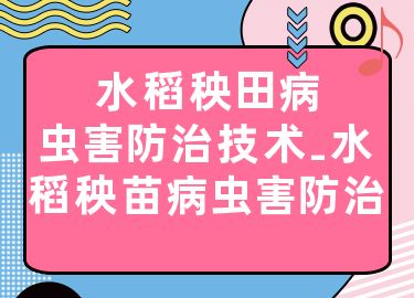 水稻秧田病虫害防治技术-水稻秧苗病虫害防治