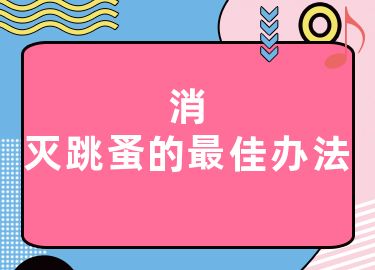 消灭跳蚤的最佳办法