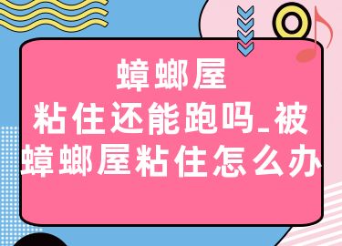 蟑螂屋粘住还能跑吗-被蟑螂屋粘住怎么办