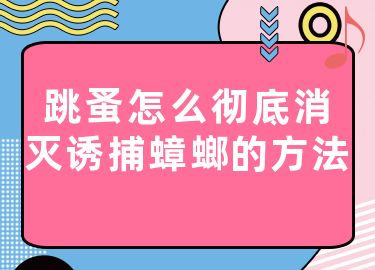 跳蚤怎么彻底消灭诱捕蟑螂的方法